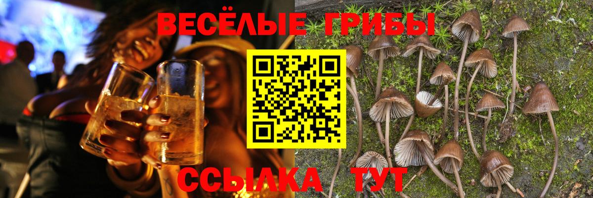 Бугульма  Псилоцибиновые грибы Cubensis  Вход с VPN  Псилоцибиновые грибы GOLDEN TEACHER 